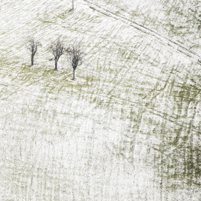 A snowfall (01)